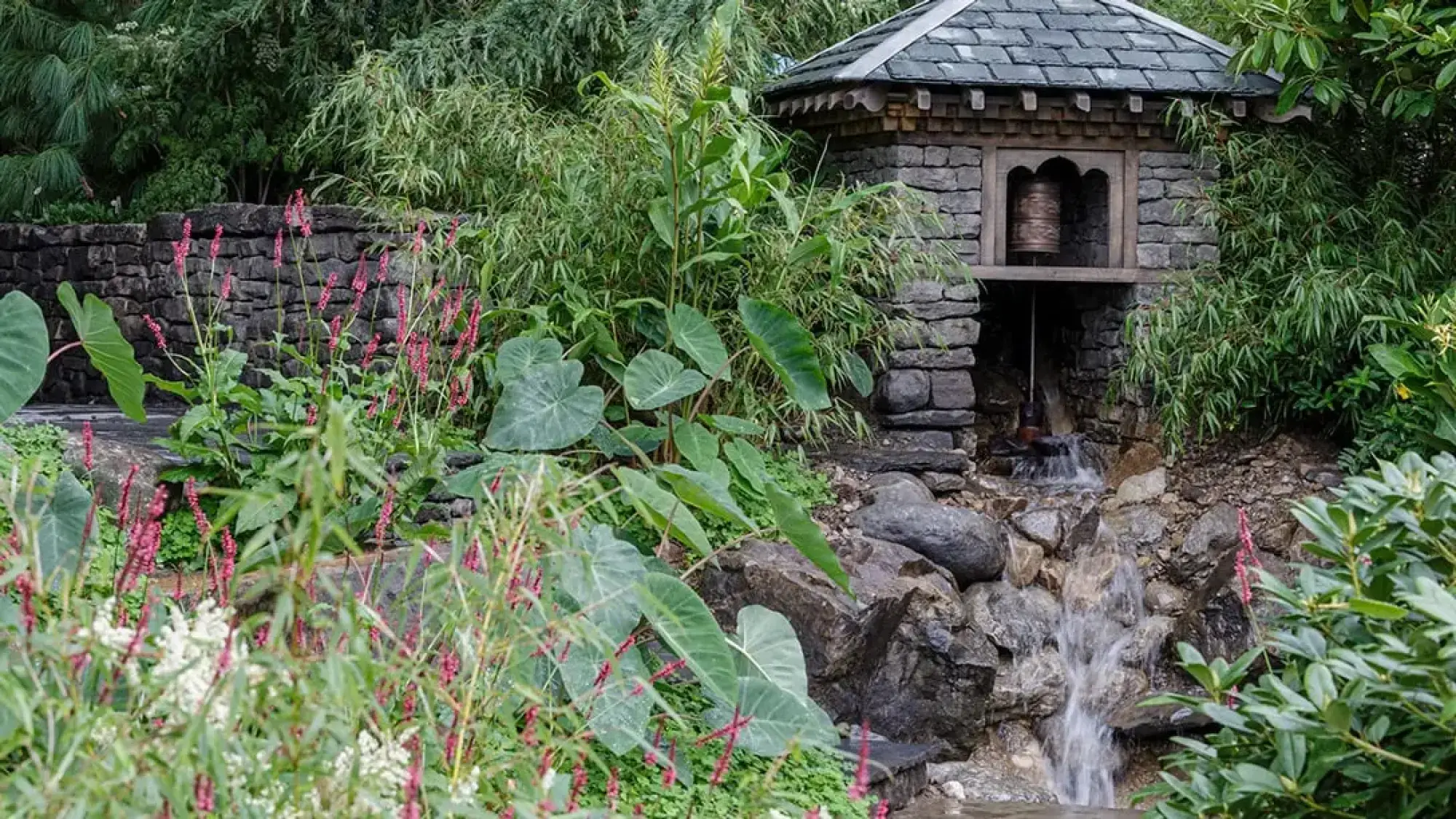 A tranquil garden featuring a stone shrine with a prayer wheel, a cascading waterfall, and lush green elephant ear plants with pink flowers.