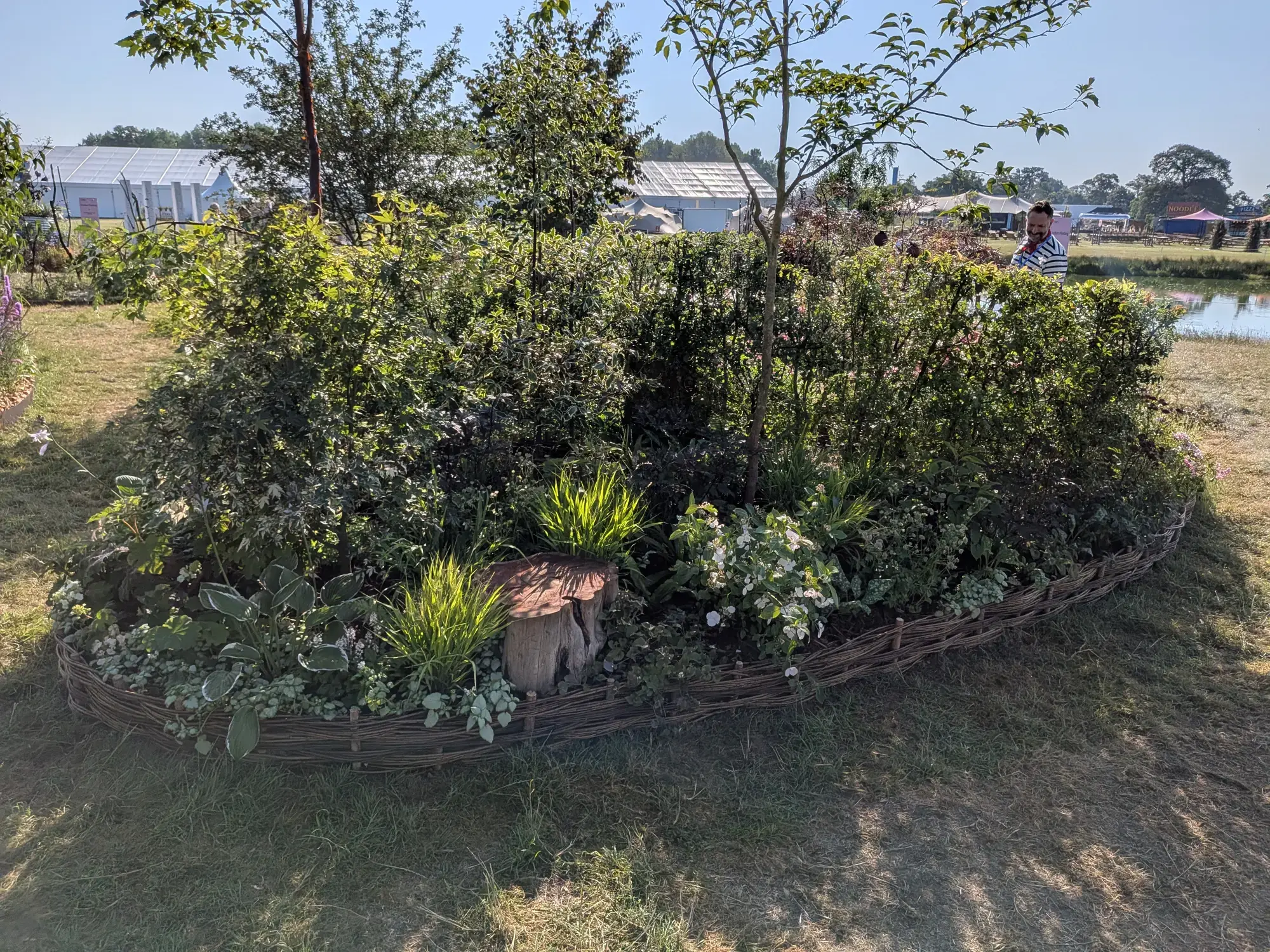 A lush, naturalistic pocket garden featuring a weathered tree stump, dense mixed green and variegated planting, and a woven wicker border.