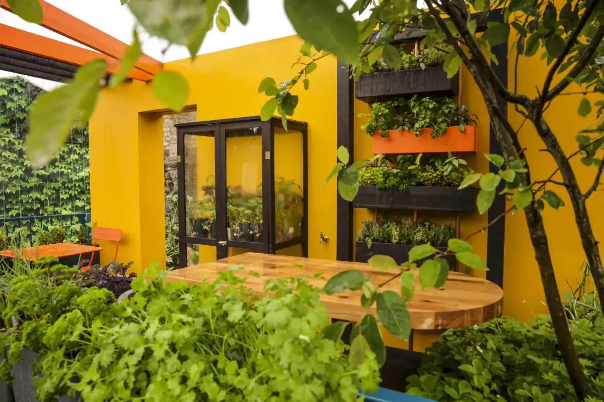 A vibrant balcony garden features a bright yellow wall, a vertical planter full of herbs, a wooden dining table, and an orange bistro set, all surrounded by lush edible plants.