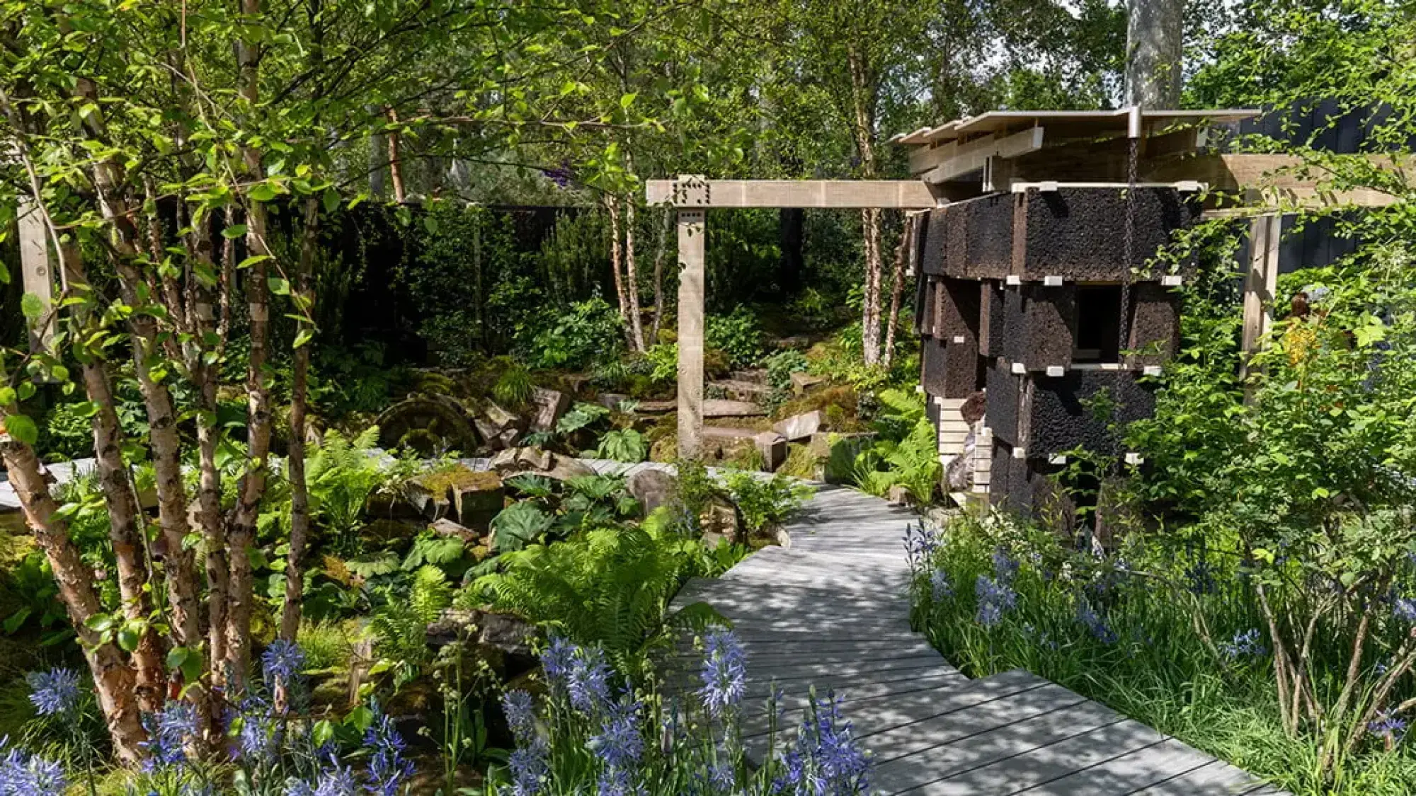 A tranquil garden features a dark, angular cork structure, a light timber beam, a curving grey path, lush ferns, birch trees, and blue-purple flowers.