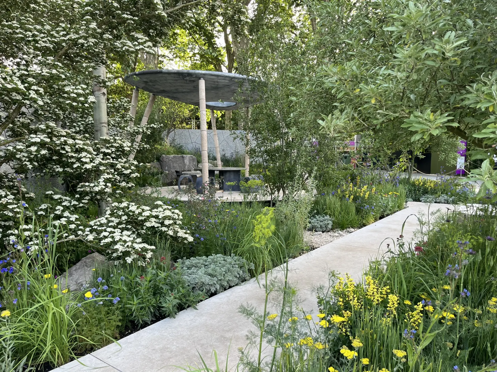 A modern show garden features a grey mushroom pavilion, white flowering tree, and a concrete path through naturalistic yellow, blue, and silver planting.
