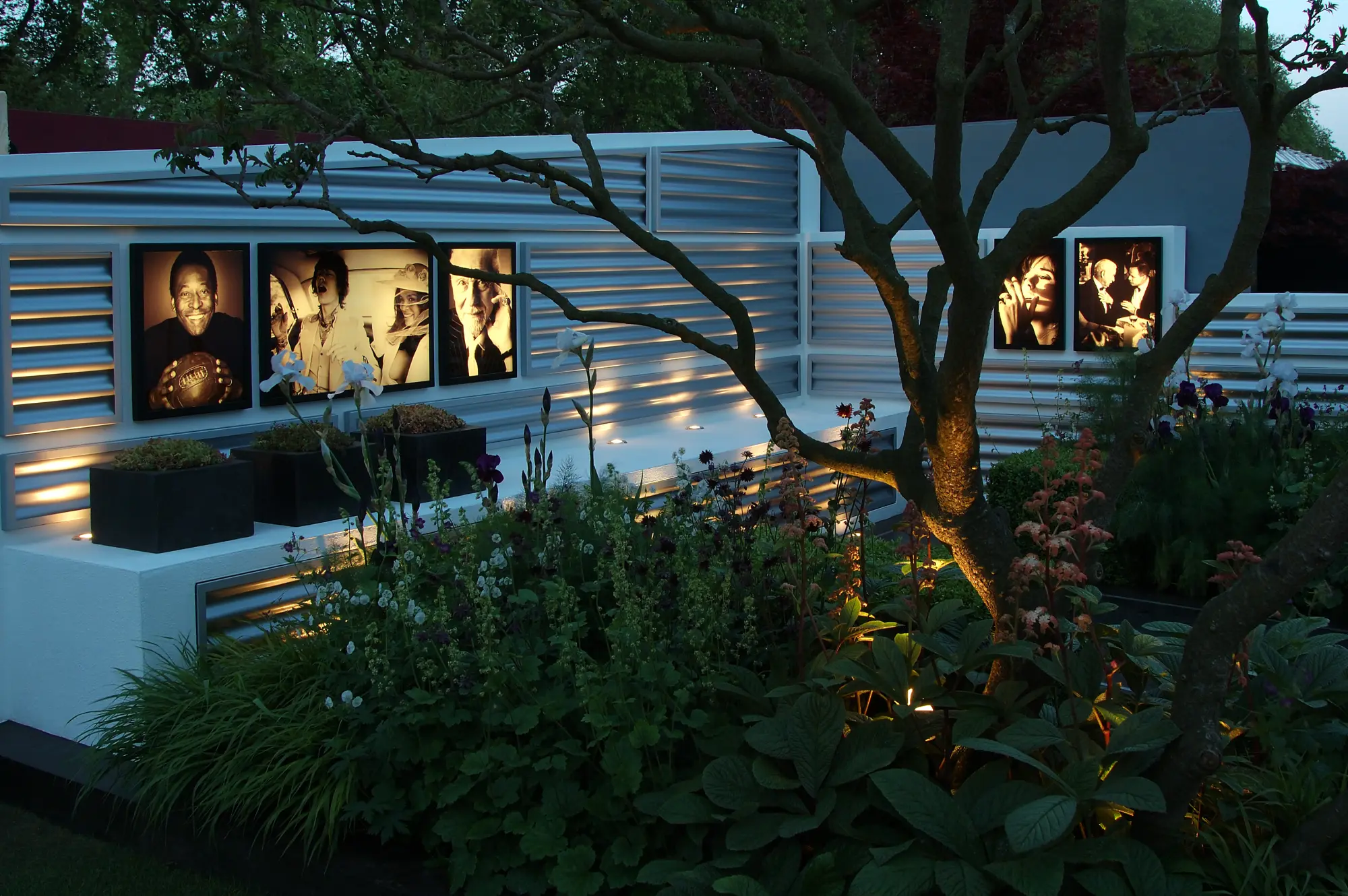 A contemporary show garden with illuminated celebrity portraits on a white wall, silver panels, a multi-stemmed tree, and warm-lit perennials.
