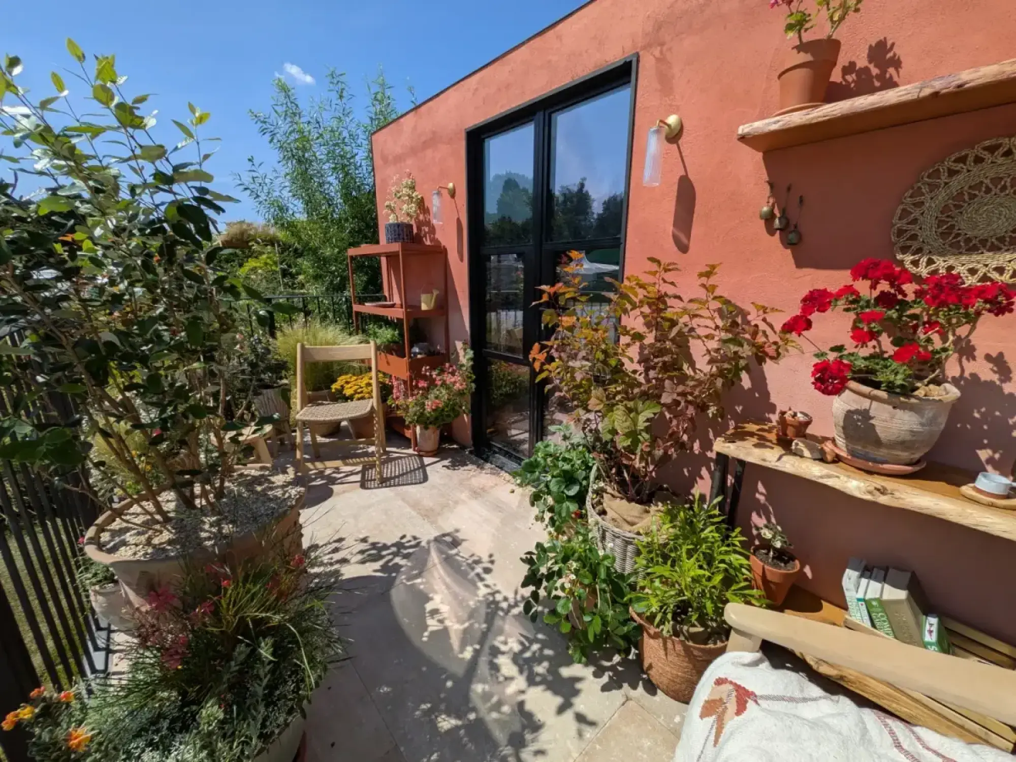 A sunny balcony garden has a terracotta-coloured wall, black-framed doors, and wooden shelves with potted plants, including vibrant red geraniums, and a wooden chair.