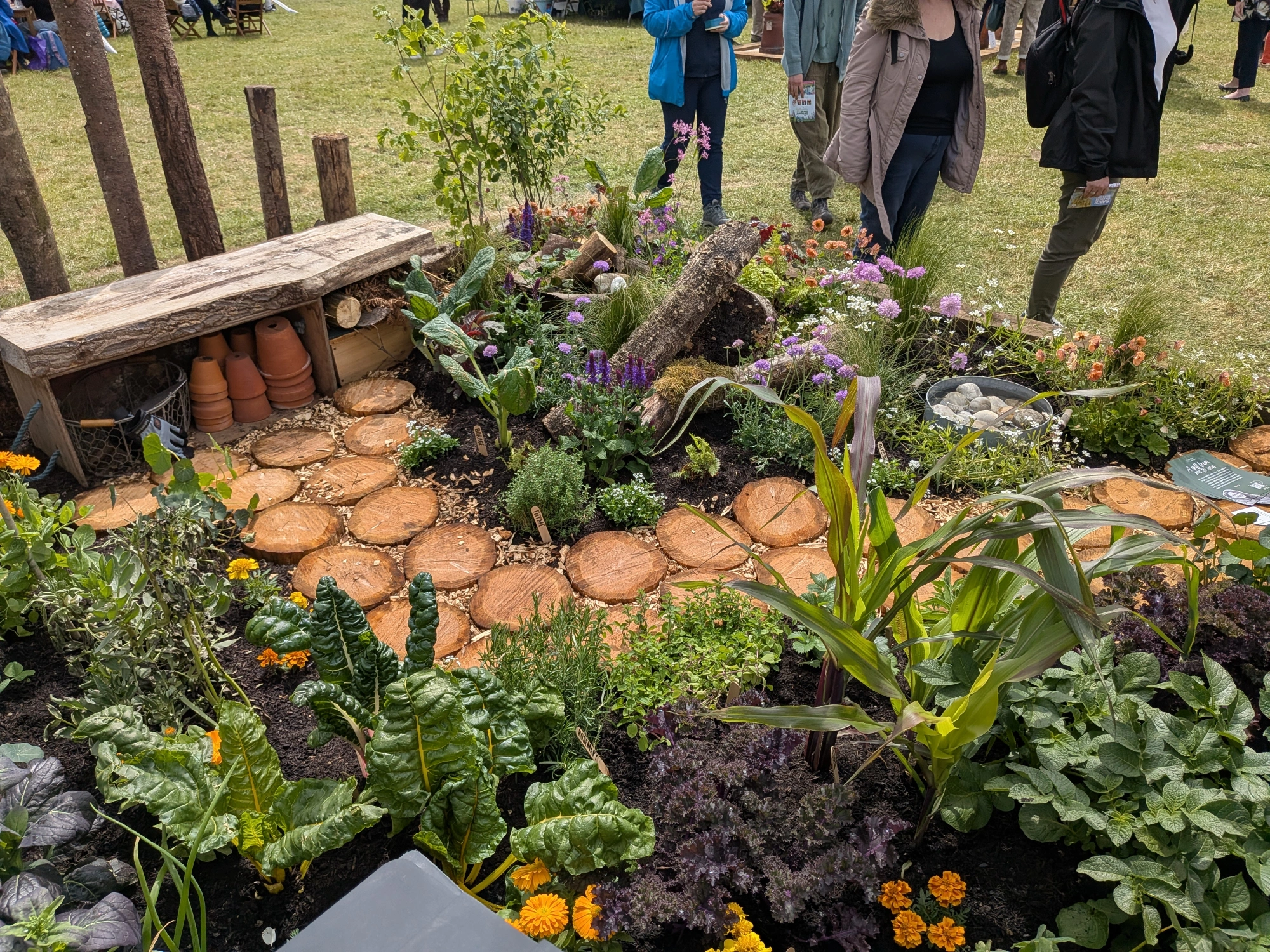 A vibrant, productive border garden features a rustic log bench, a path of wood slices, edible plants, herbs, and flowers, alongside a small bug hotel and metal water tub.