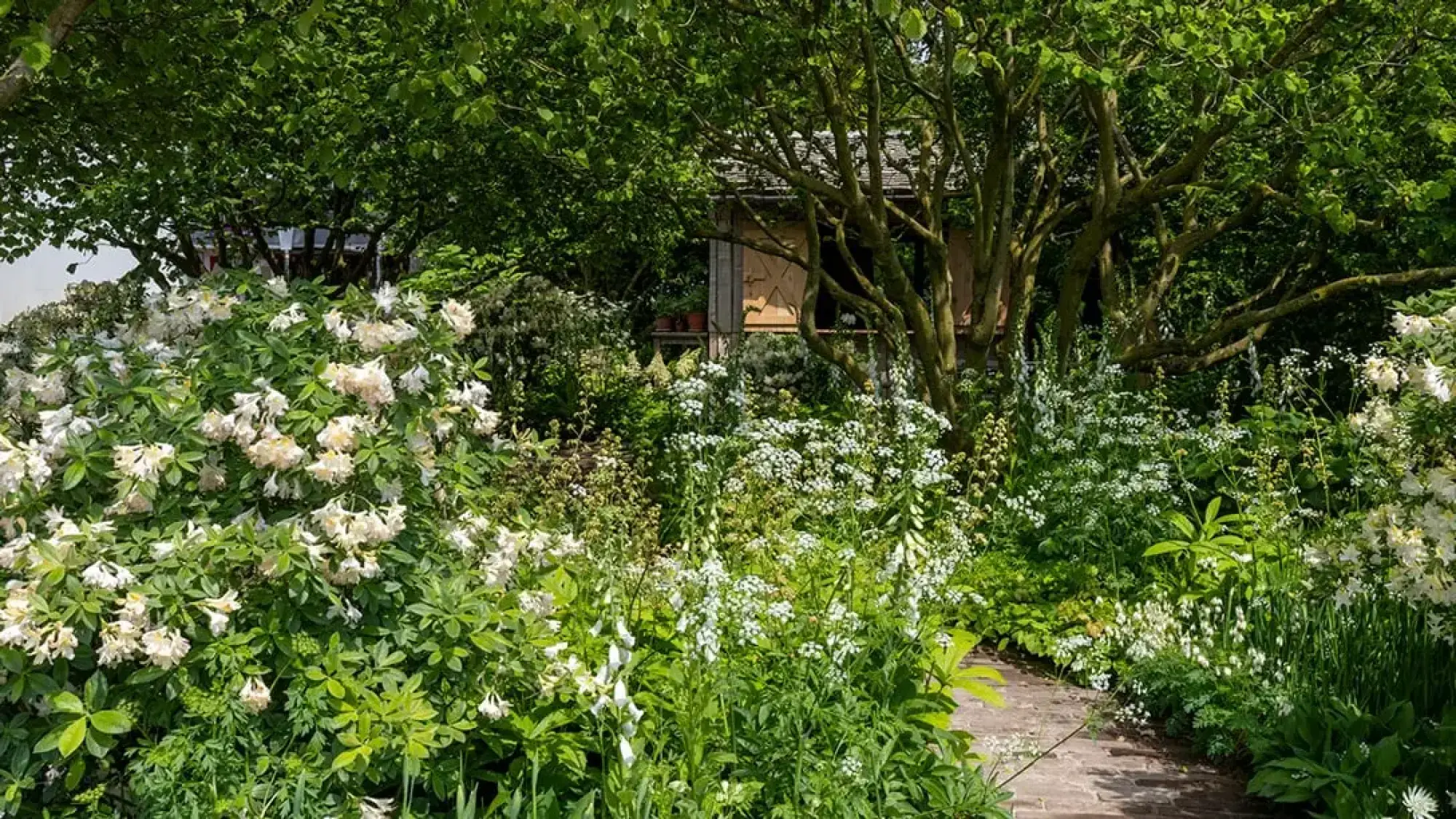 A winding brick path leads through a lush, shady woodland garden filled with white flowering shrubs and perennials, towards a timber cabin nestled amongst mature trees.