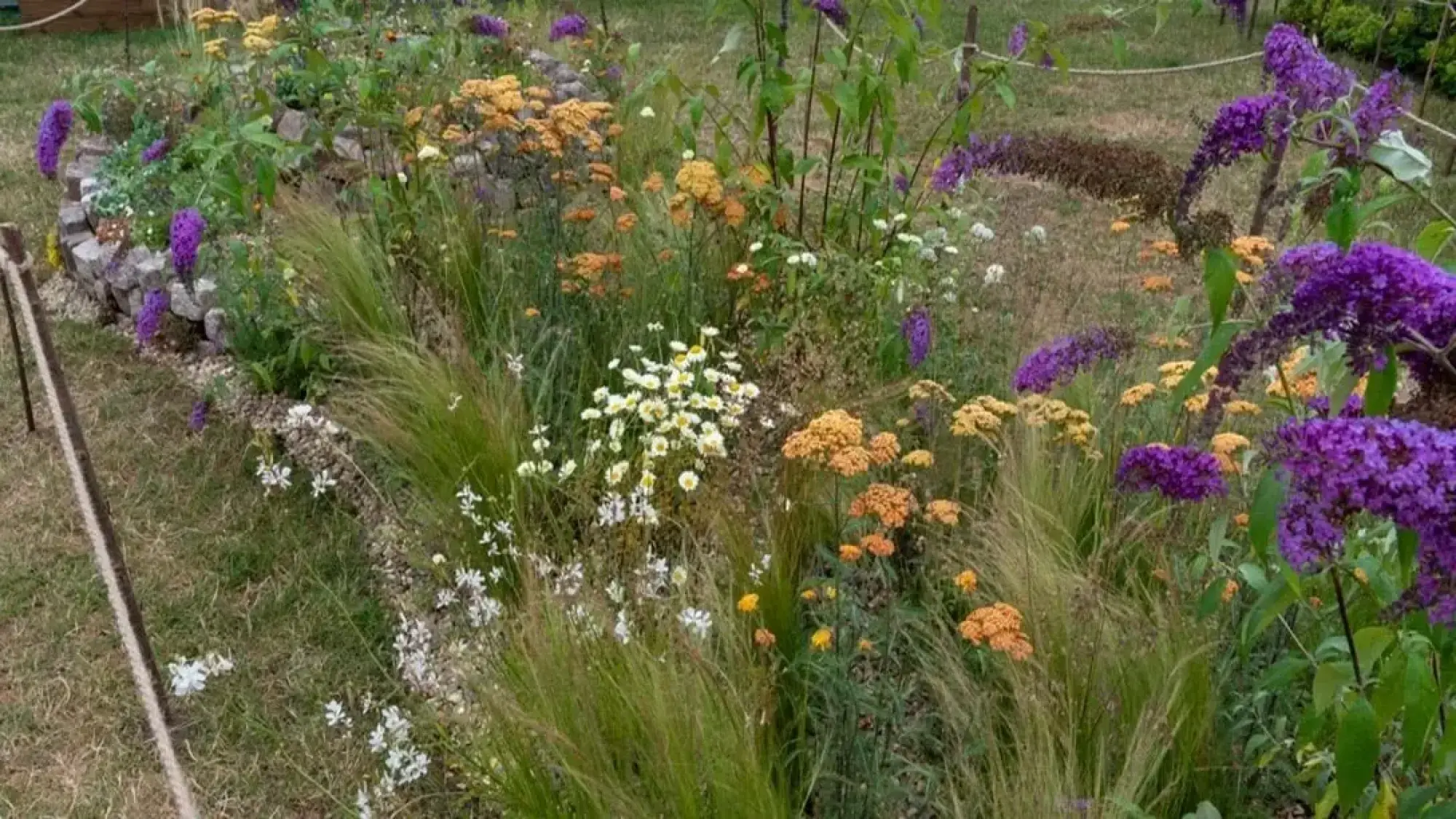 A vibrant pocket garden featuring a stone retaining wall and dense naturalistic planting, including prominent purple butterfly bushes, orange yarrow, white daisies, and wispy grasses.