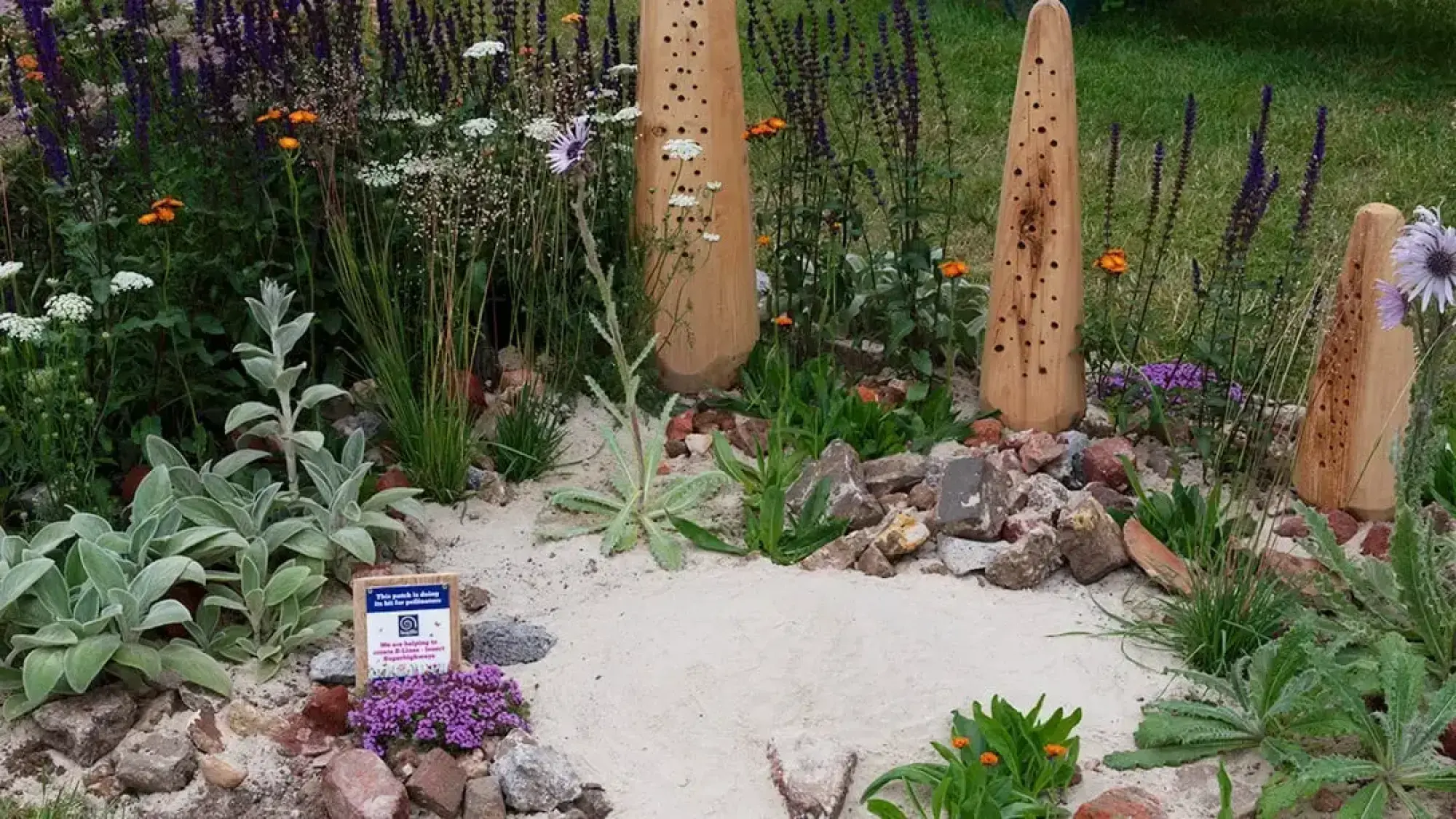 A naturalistic pocket garden featuring three wooden cone bee hotels, a sandy patch, and purple, orange, and white pollinator plants.
