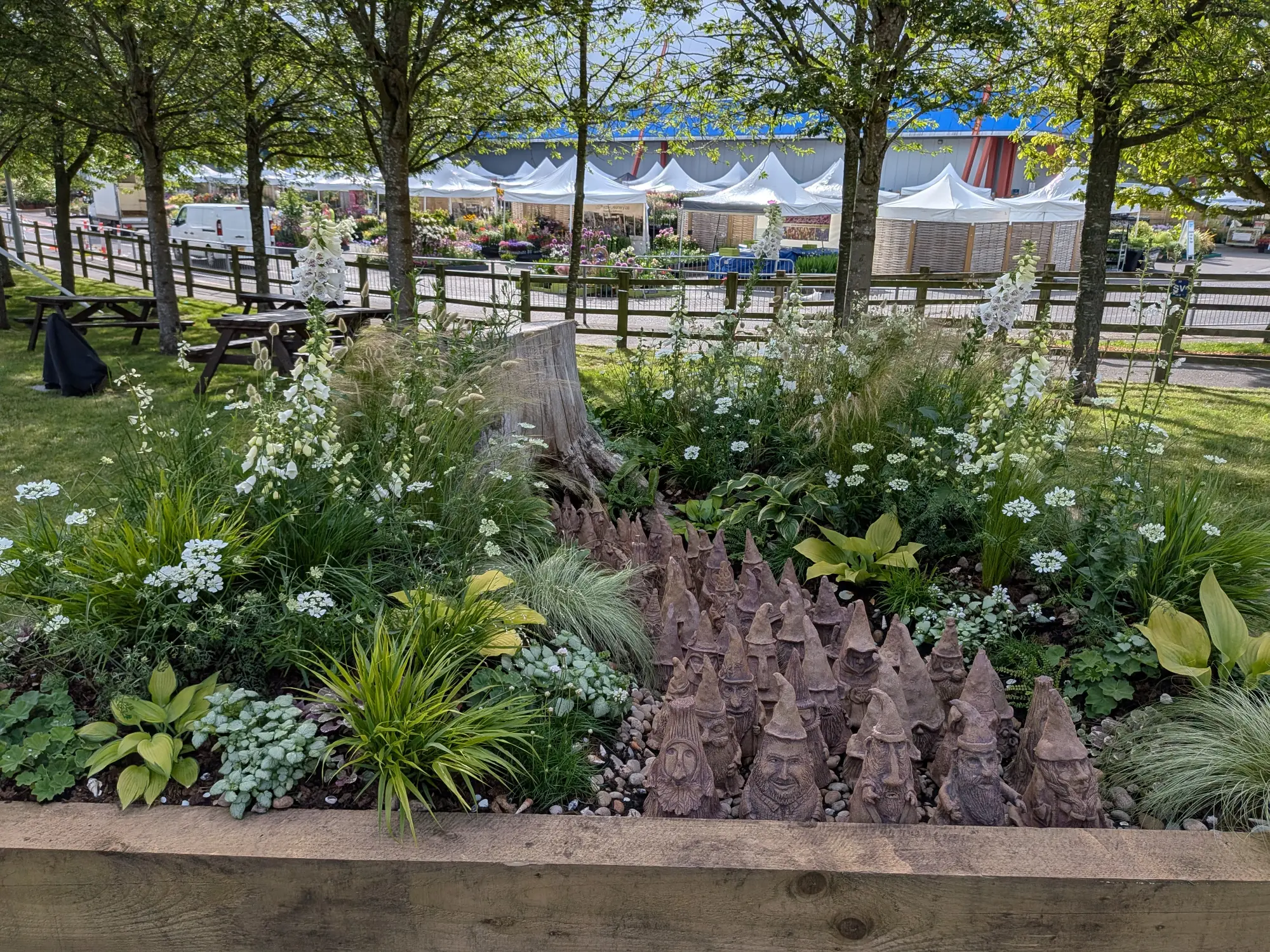 A beautiful border features numerous carved stone gnome figures nestled among white foxgloves, green hostas, silvery foliage, and grasses within a raised wooden bed.