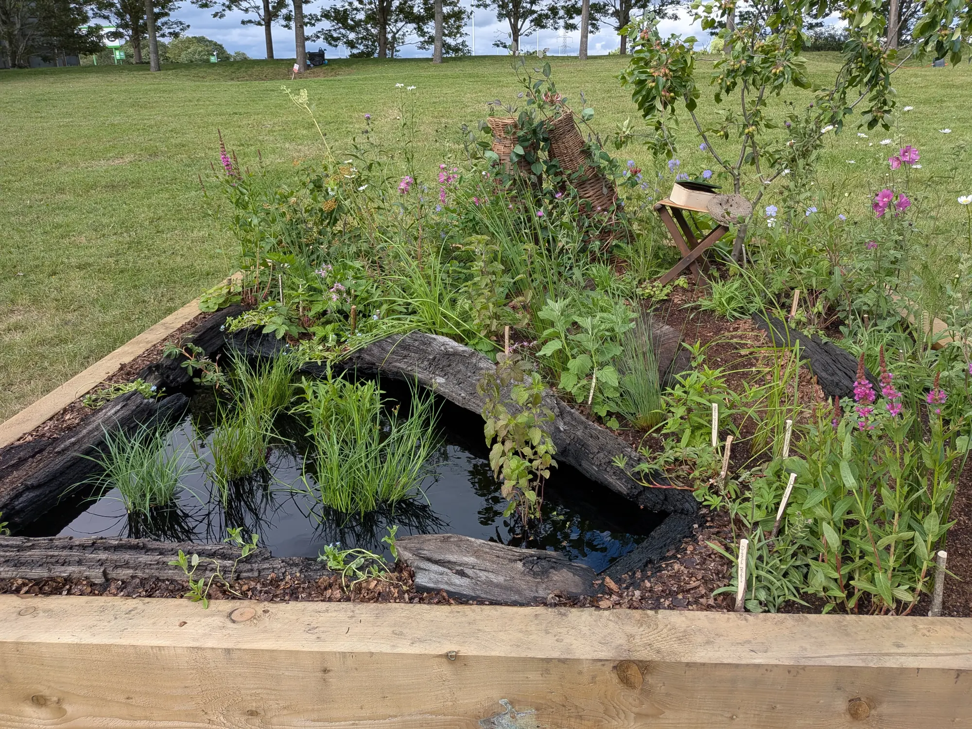 A raised garden border features a dark pond with charred logs, aquatic plants, wildflowers, a small fruit tree, and woven eel traps.