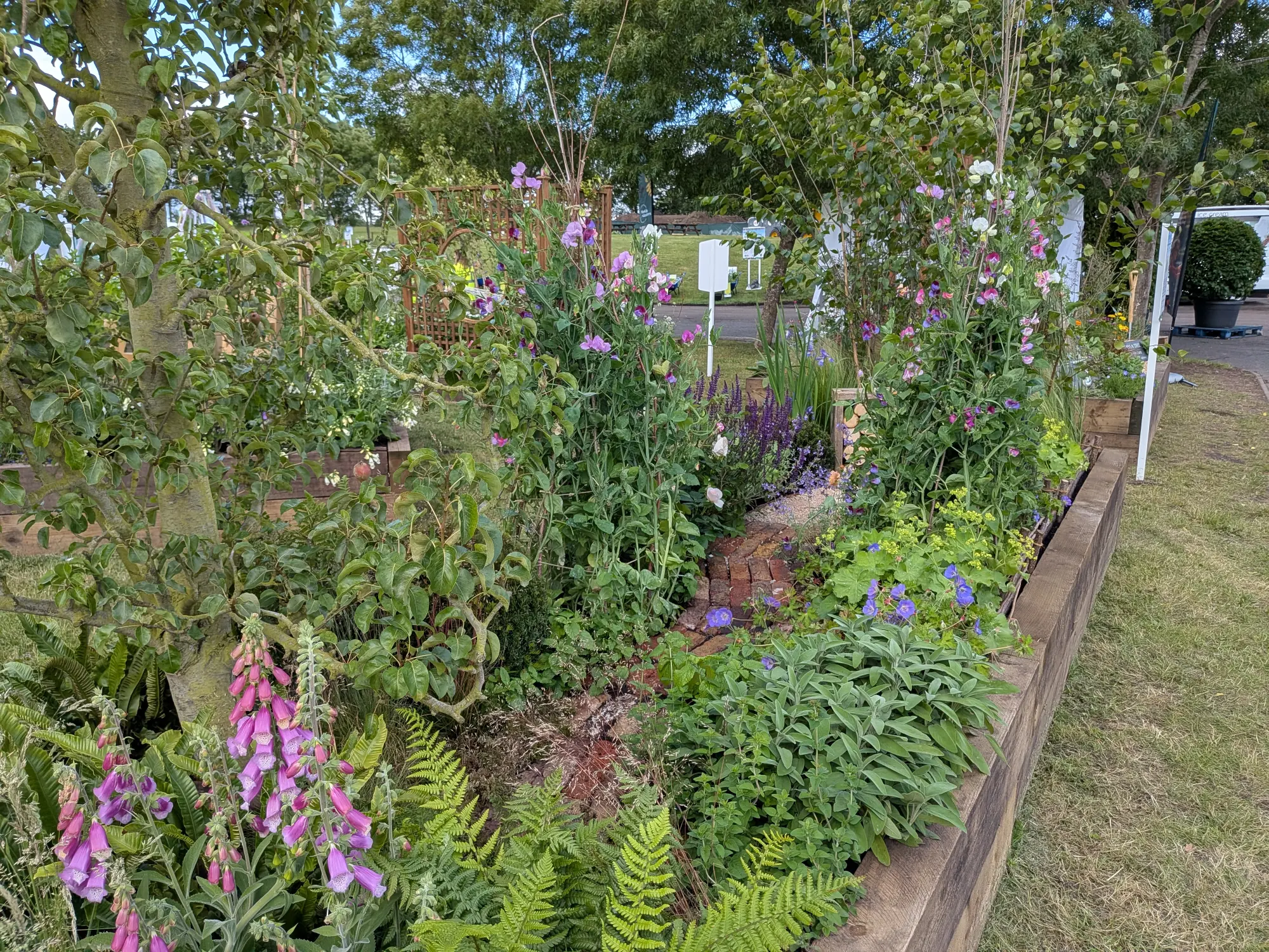 A lush, raised garden border features vibrant pink foxgloves, purple sweet peas, ferns, and a pear tree, with a small brick path.