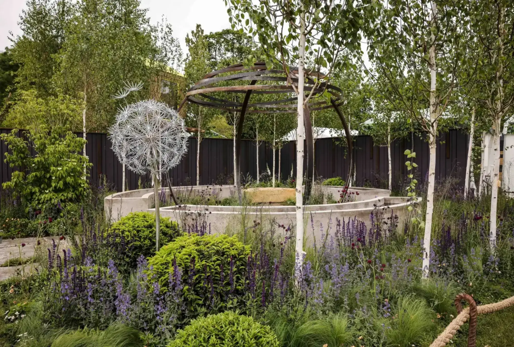 A contemporary garden features a silver dandelion sculpture, rusty metal arbour, curved concrete planters, white birch trees, with purple and green planting.