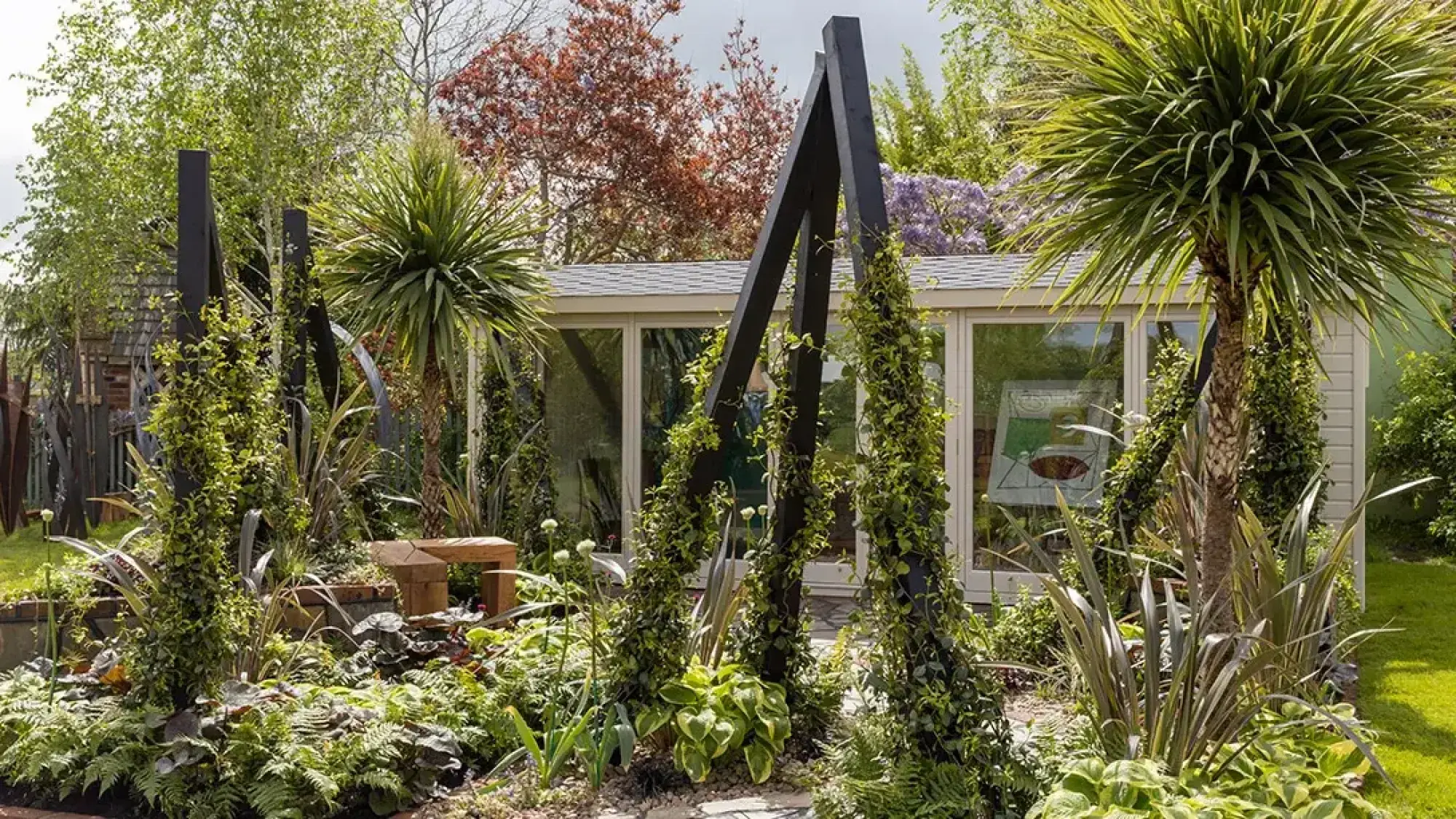 A show garden features black angular structures with climbing plants, a Cordyline australis, lush green ferns, and a wooden bench.