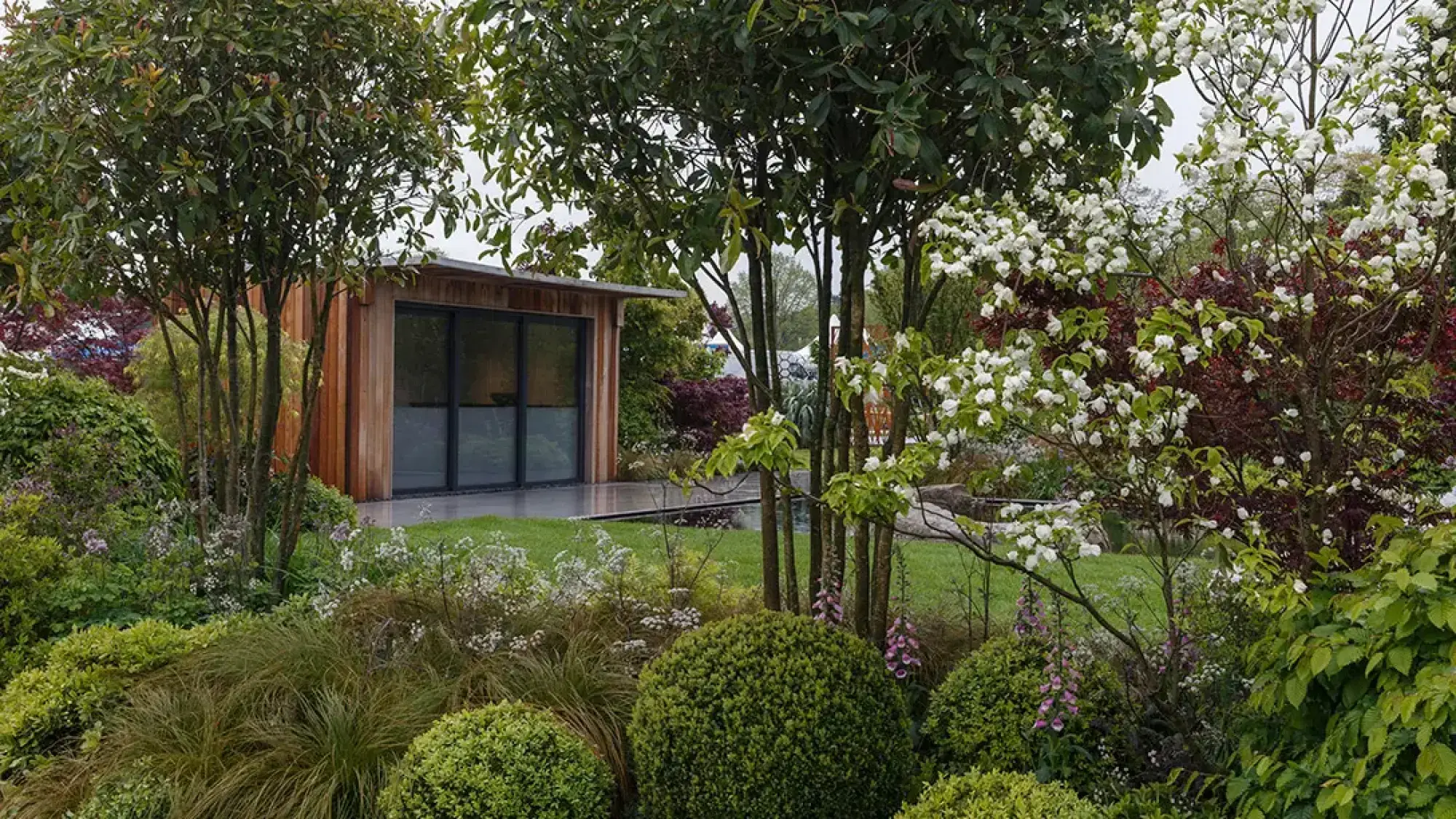 A modern timber garden building and sleek water feature overlook a lawn, bordered by lush planting with white flowers, multi-stemmed trees, and clipped shrubs.