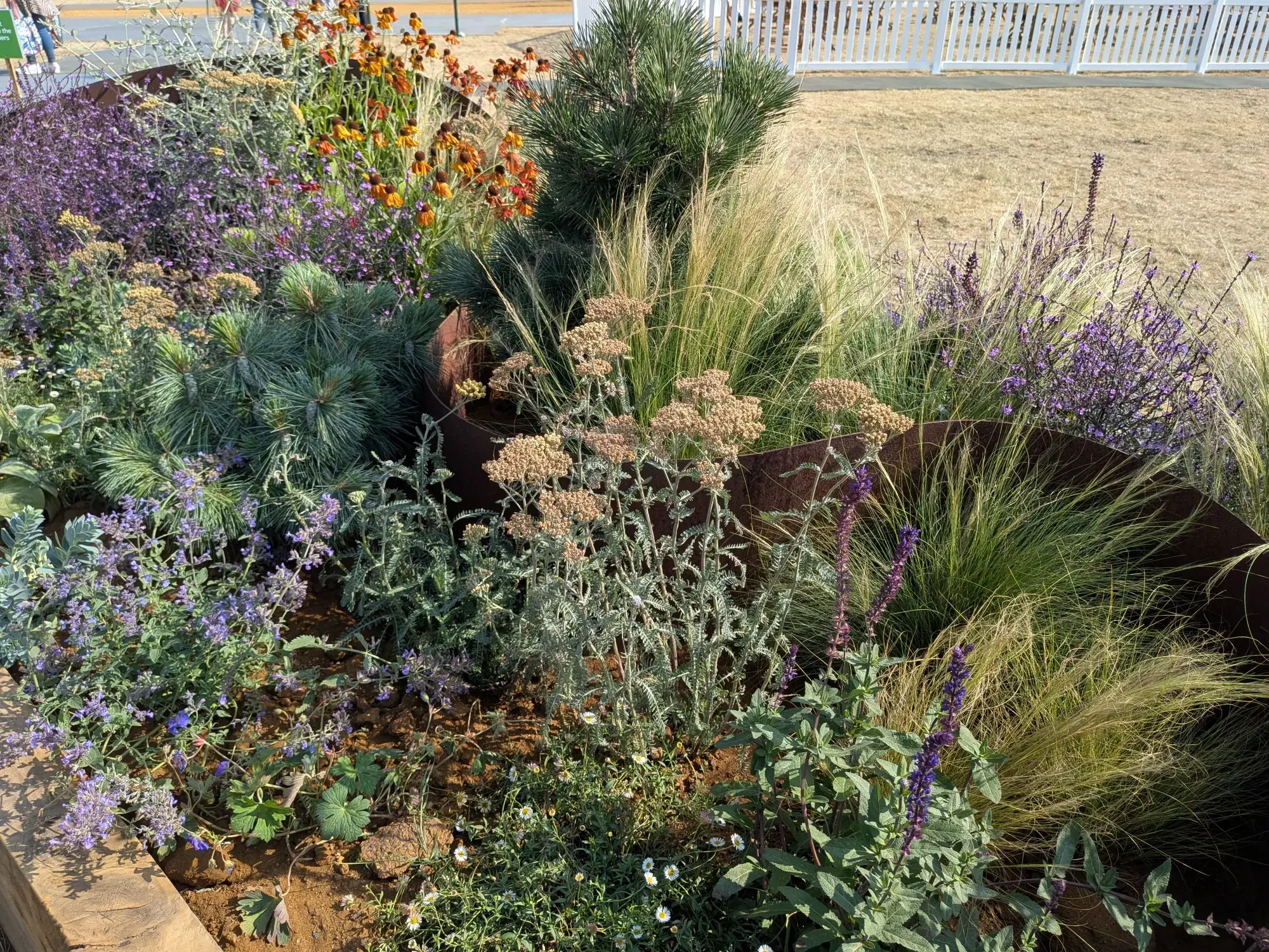 A naturalistic long border features diverse plants in shades of purple, orange, green, and silver, set within a rusted steel curved edge.