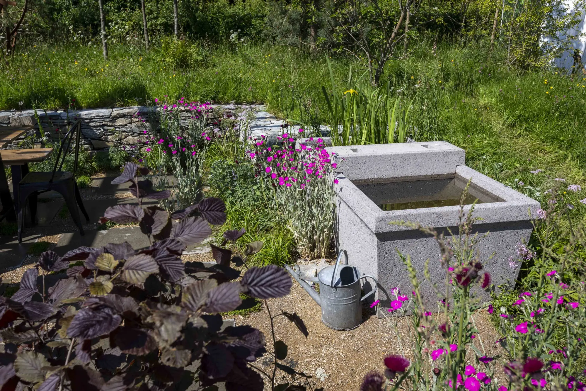 A naturalistic garden with a grey concrete water trough, vibrant pink flowers, meadow grasses, a dry stone wall, and a gravel seating area.