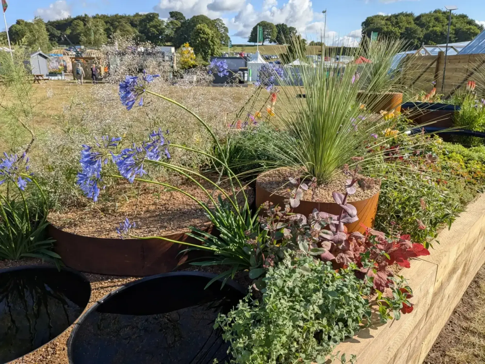 A long border features blue Agapanthus, tall grasses, and white flowers in raised timber, corten steel planters and dark water bowls.