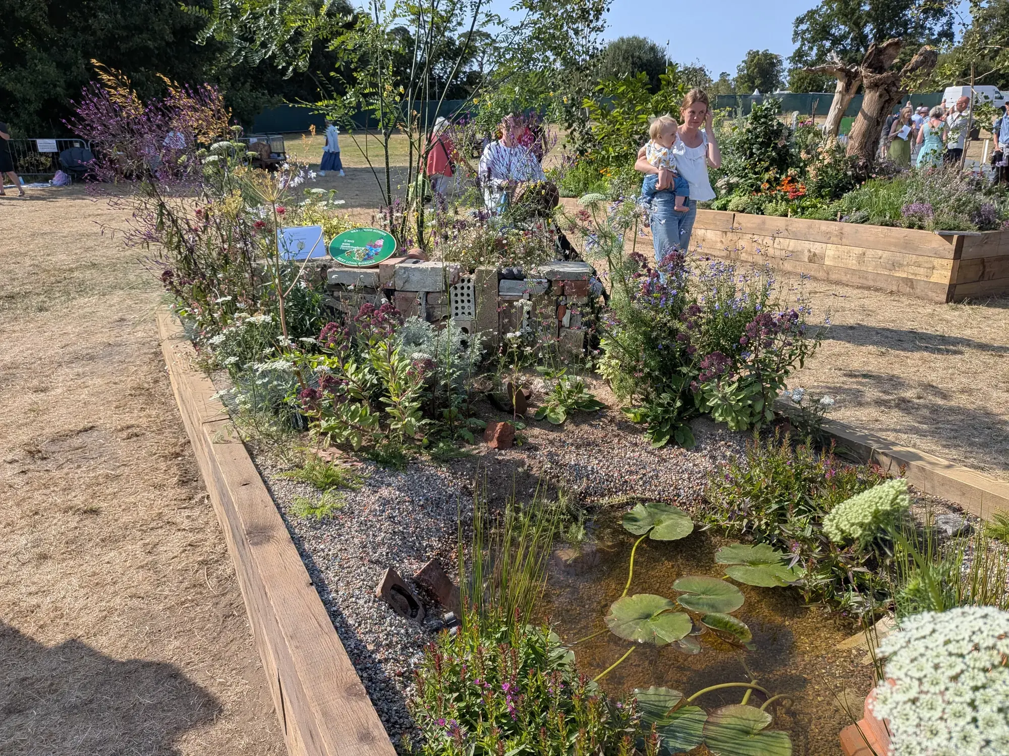 A long border garden featuring a water lily pond, a central reclaimed brick structure, and naturalistic planting with purple and white flowers.