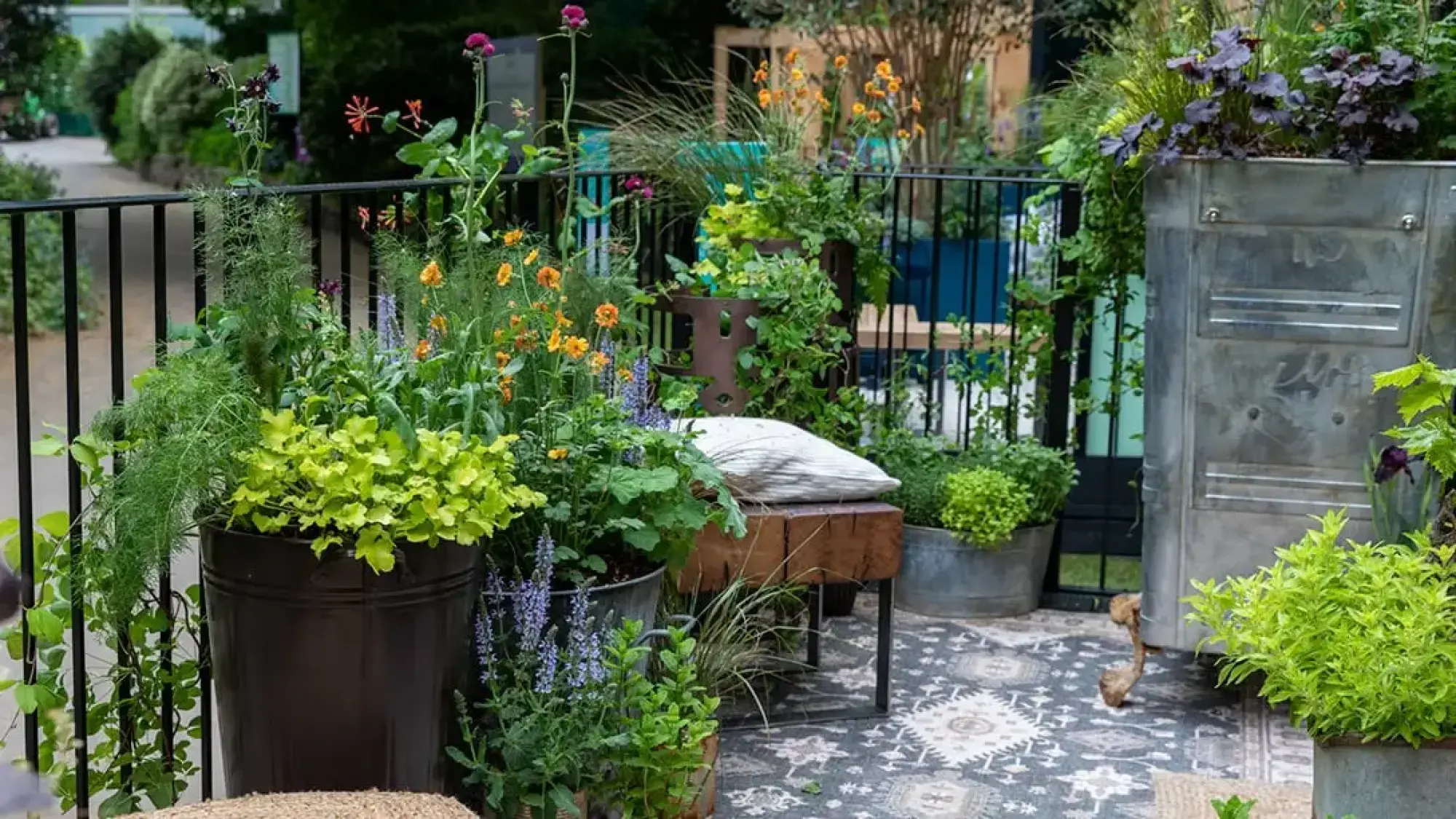 A vibrant balcony garden features an eclectic mix of galvanised steel and dark planters filled with orange and purple flowers, lush green foliage, and a wood block bench on a patterned grey rug.