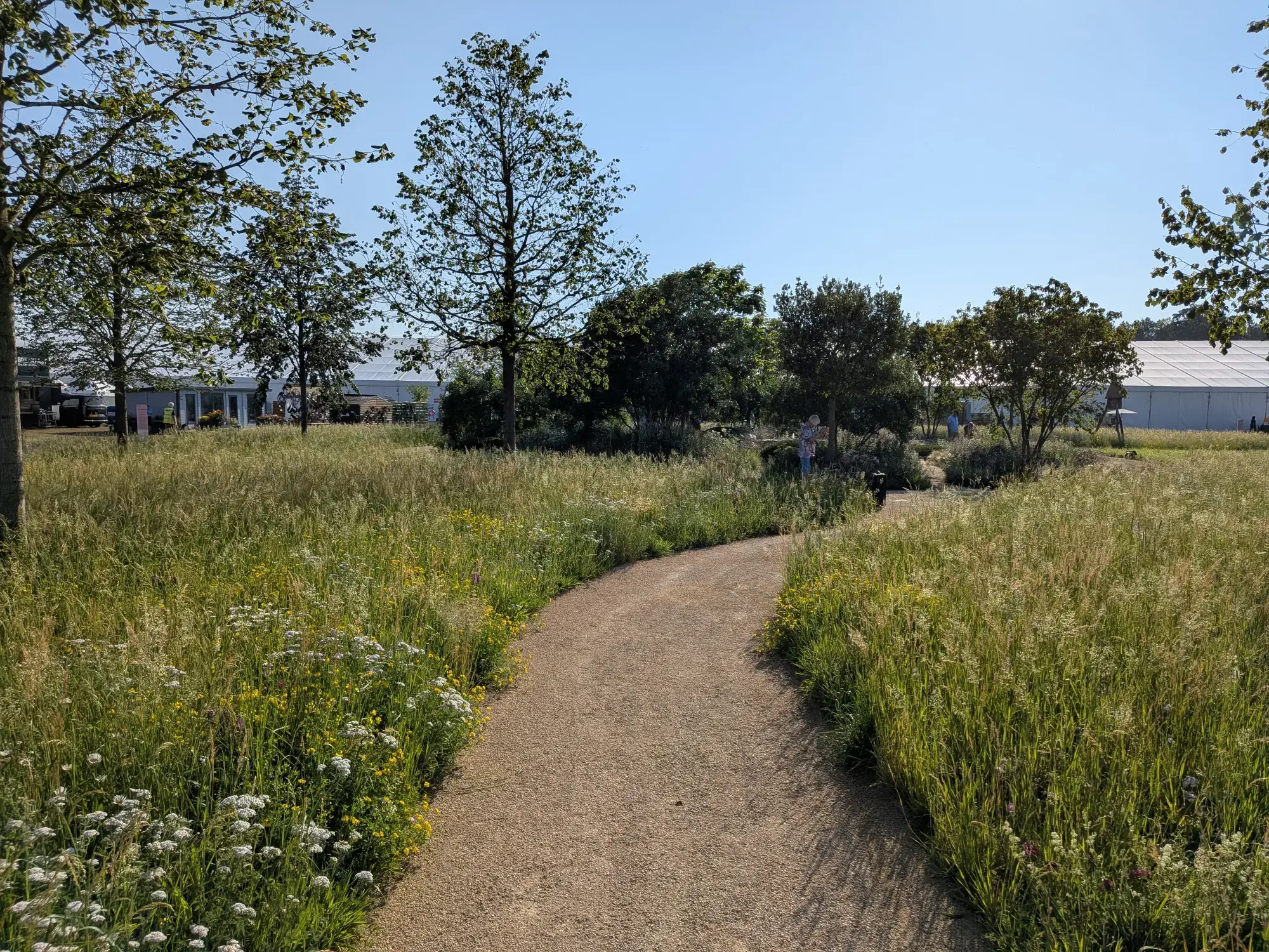 A curving gravel path winds through a naturalistic meadow garden filled with tall grasses, scattered trees, and a mix of white and yellow wildflowers.
