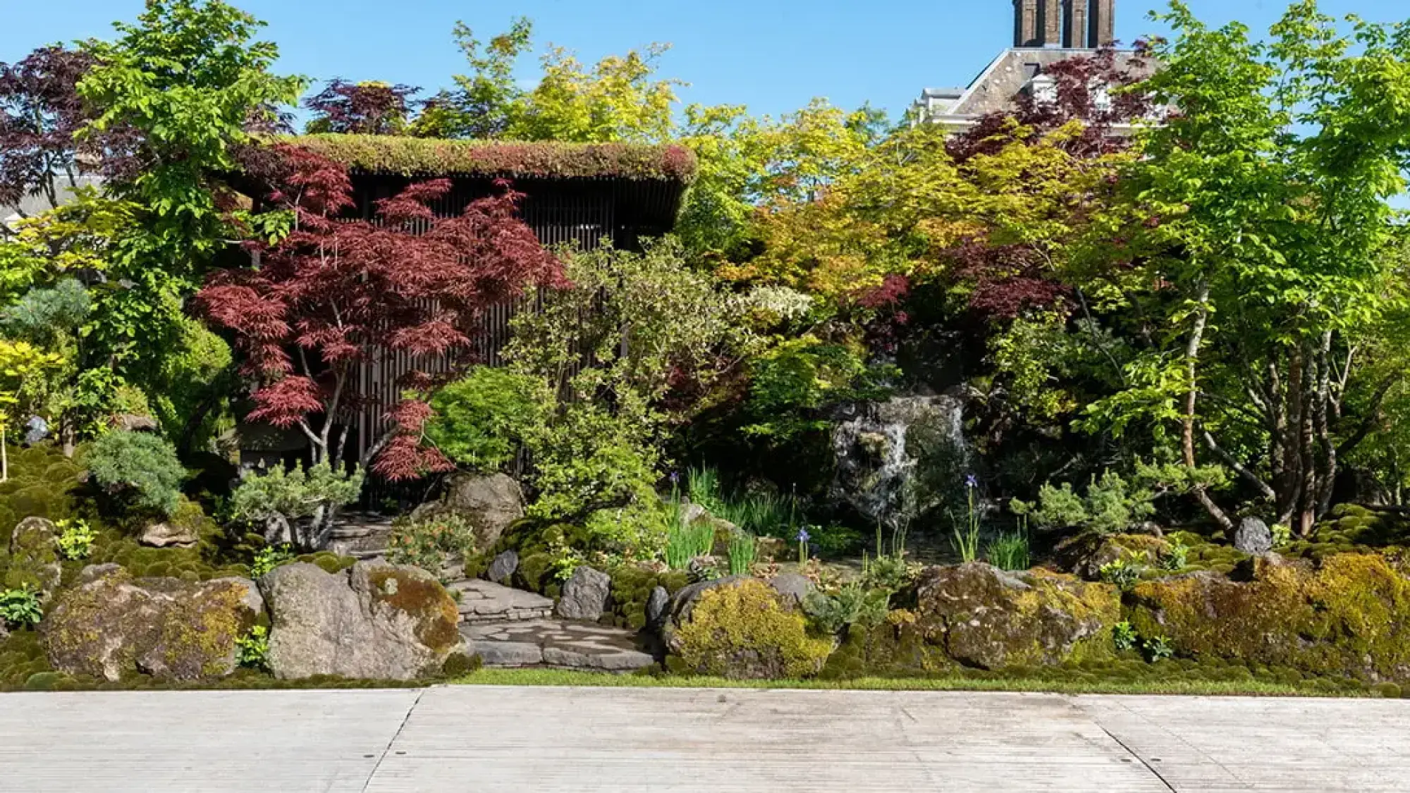 A tranquil Japanese sanctuary garden featuring a cascading waterfall, a timber pavilion with a green roof, moss-covered rocks, and vibrant maples.