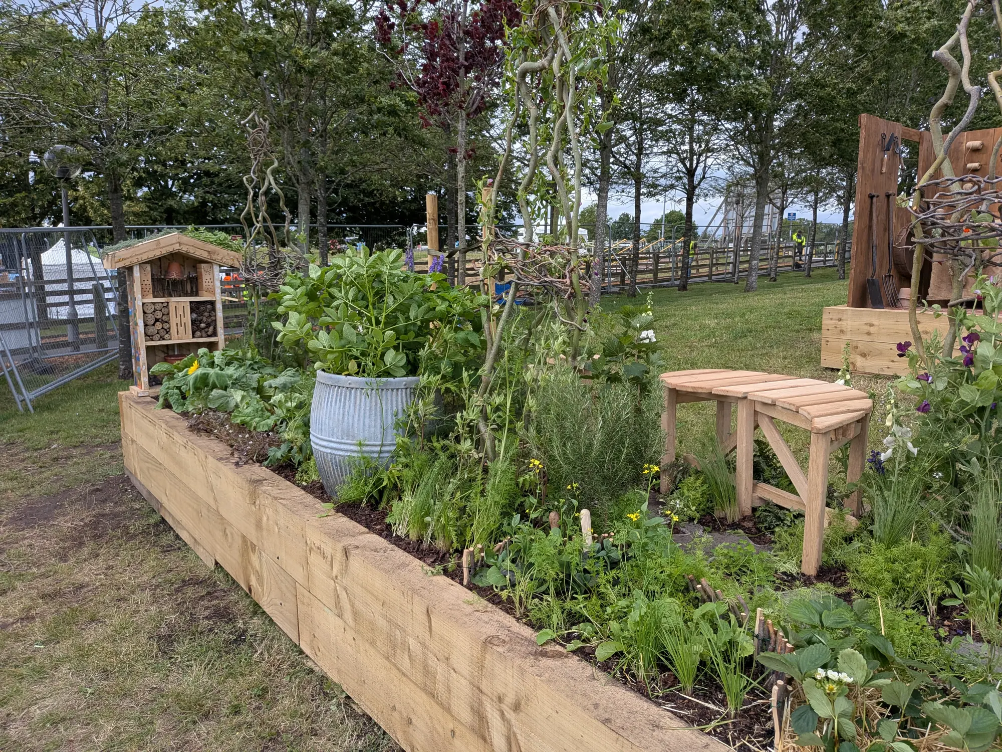 A rustic timber raised border garden features an insect hotel, a twisted branch trellis, a galvanised tub, and green edible plants.