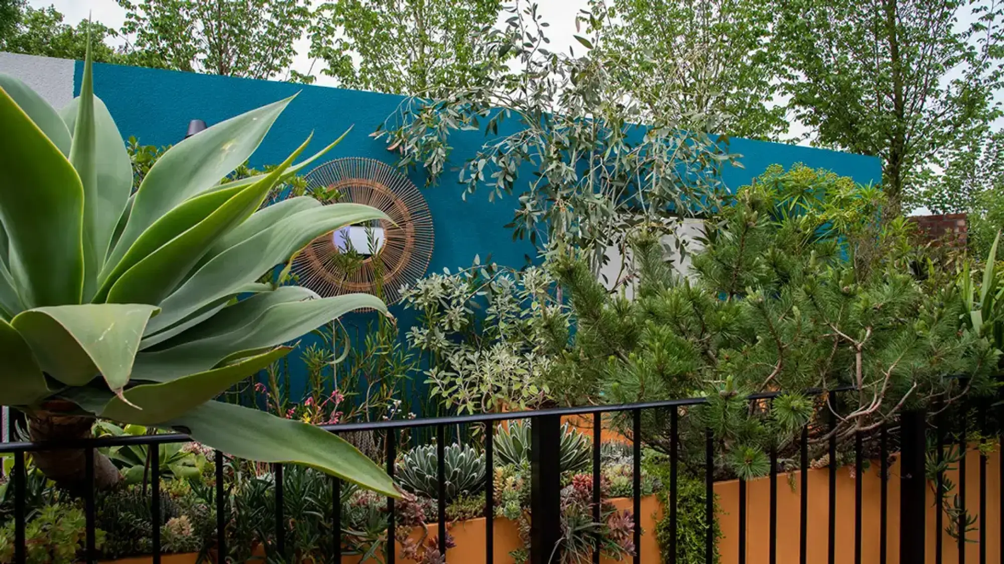 A vibrant balcony garden with a large agave plant, a teal blue feature wall displaying a woven circular mirror, and orange planters filled with succulents and evergreens.