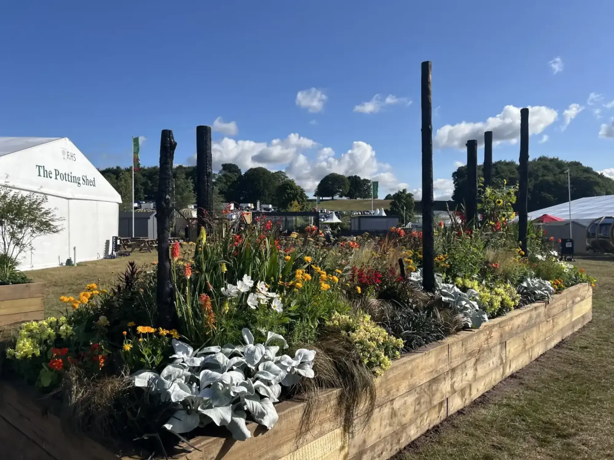 A long raised border features tall charred timber posts, vibrant orange, red, yellow, and white flowers, silver foliage, and ornamental grasses.