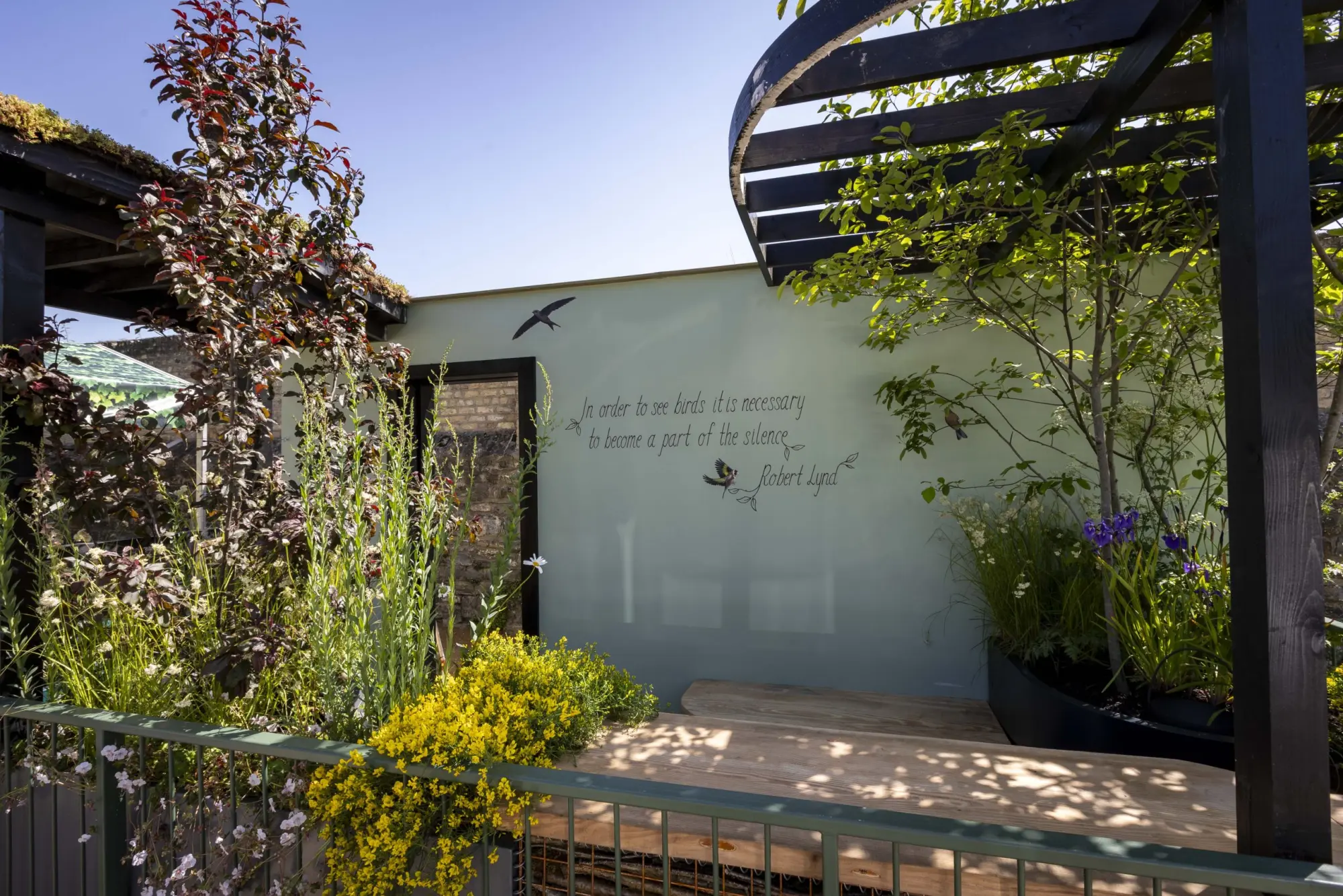 A contemporary balcony garden with a pale green wall featuring a quote and bird decals, a dark timber pergola, slatted wooden bench, and lush planting with a red-leafed tree, yellow flowers, and purple irises.